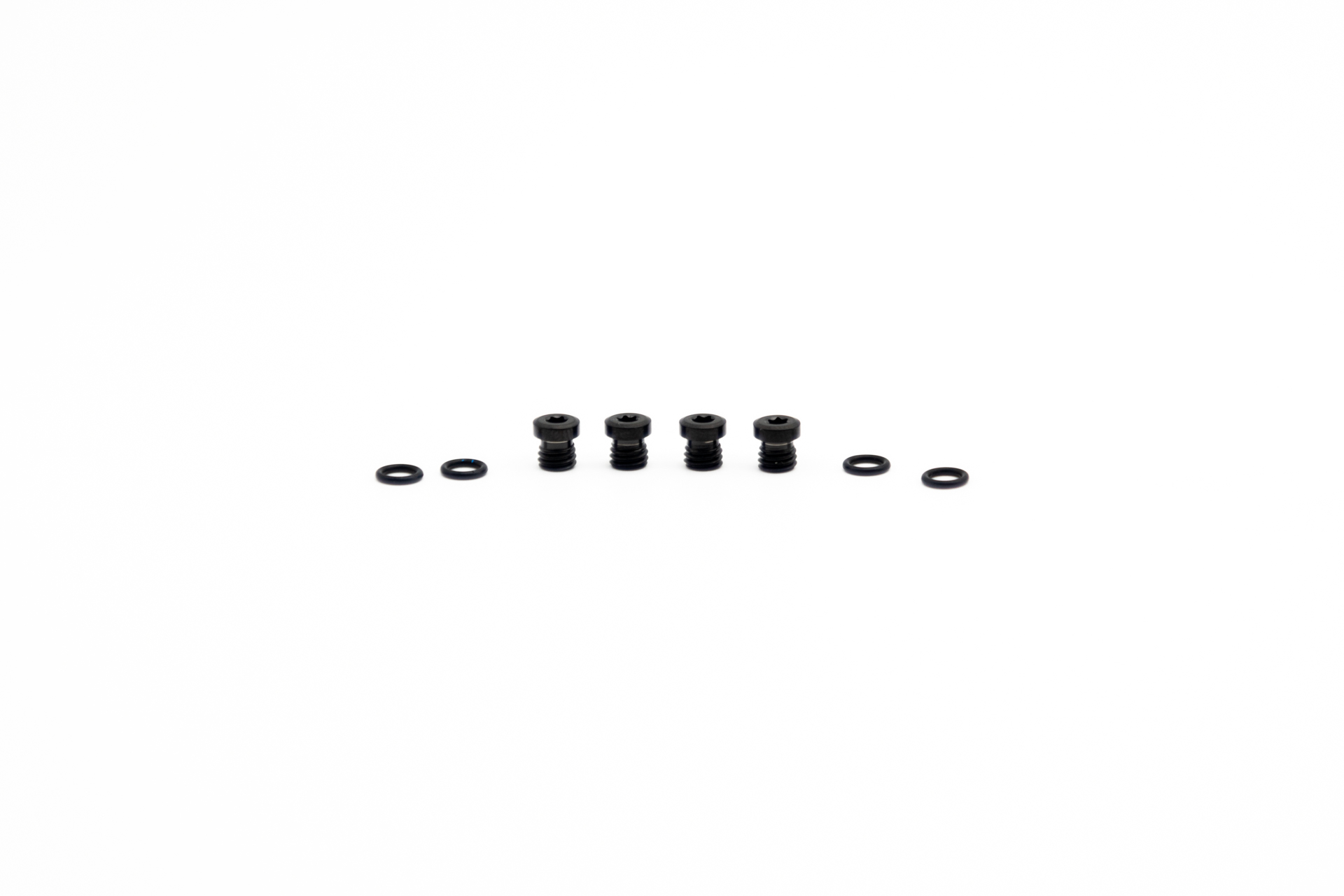 Titanschrauben Set für SRAM Bleedport DOT (4 Stk) - oilslick